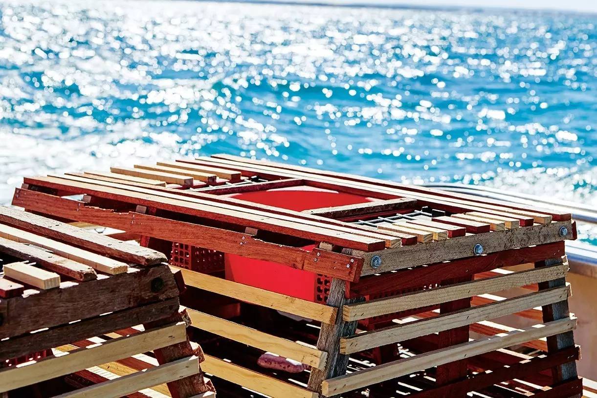 美国男子性侵未遂逃跑 拒捕逃跑遗失内裤成裸奔【bsports必一运动】(图3) bsports必一运动