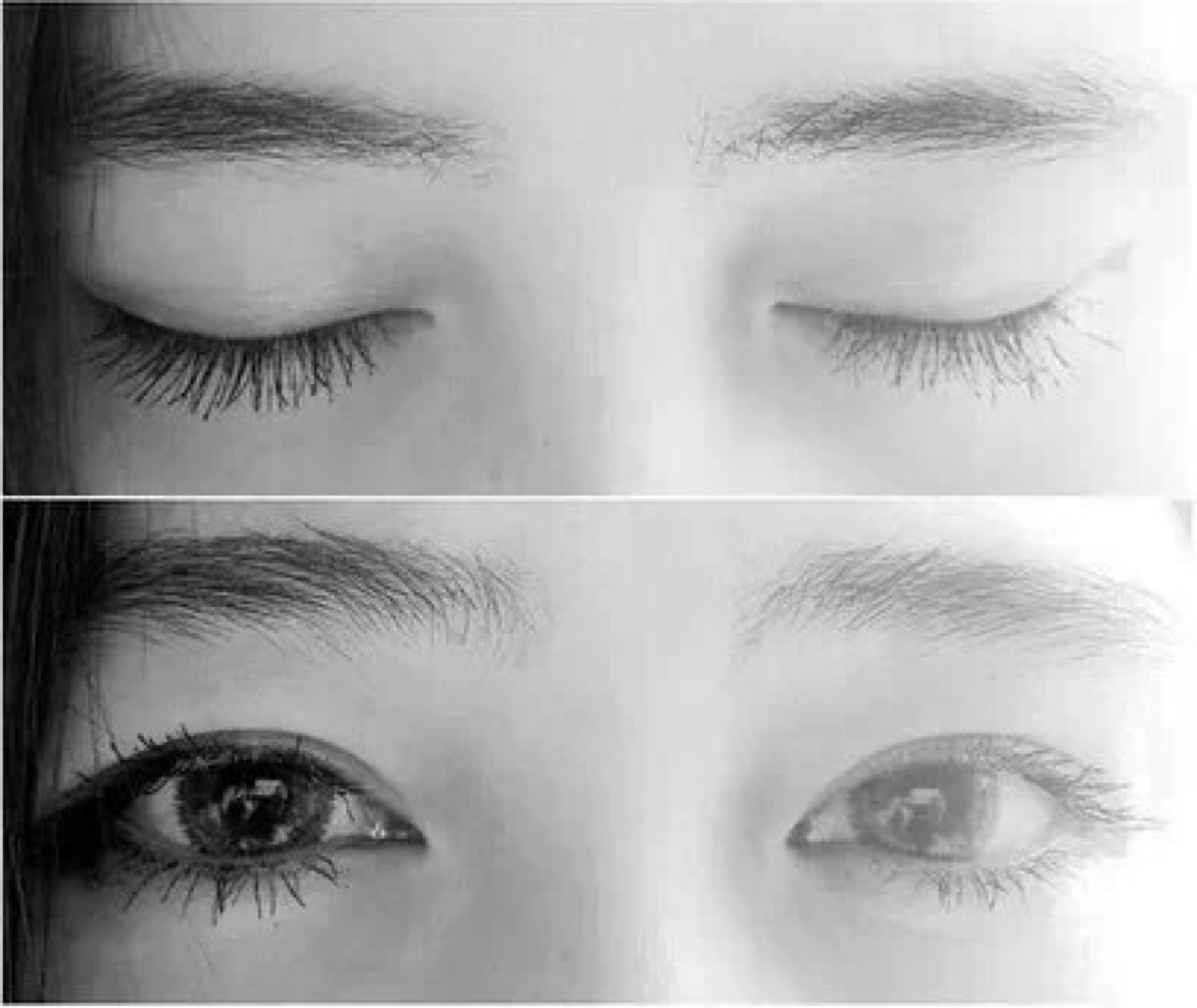 跨境物流近期面临“多事之秋”【B-Sports】(图2) 必一运动