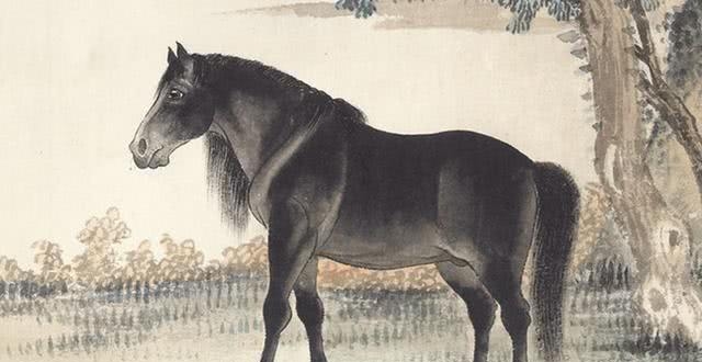 B-Sports-巴基斯坦发行首份介绍习近平专刊 首期印刷5万份