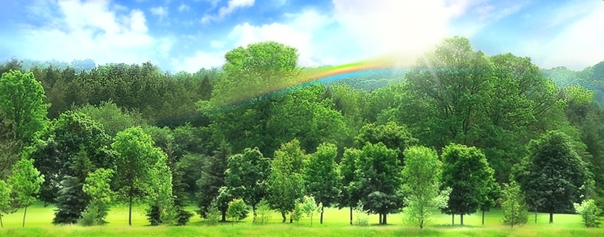 麦当劳美国餐厅数量将减少 为40年来首次下降:必一·体育(图3) 必一·体育