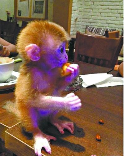 必一运动：福建工商局约谈饿了么百度外卖及美团外卖(图4)