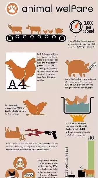 全球首个5G电话拨出‘必一·体育’(图3) 必一·体育