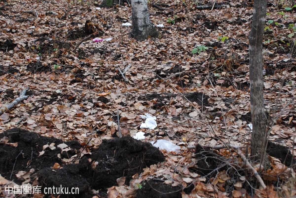 企业组建物流部门很难吗?:bsports必一运动