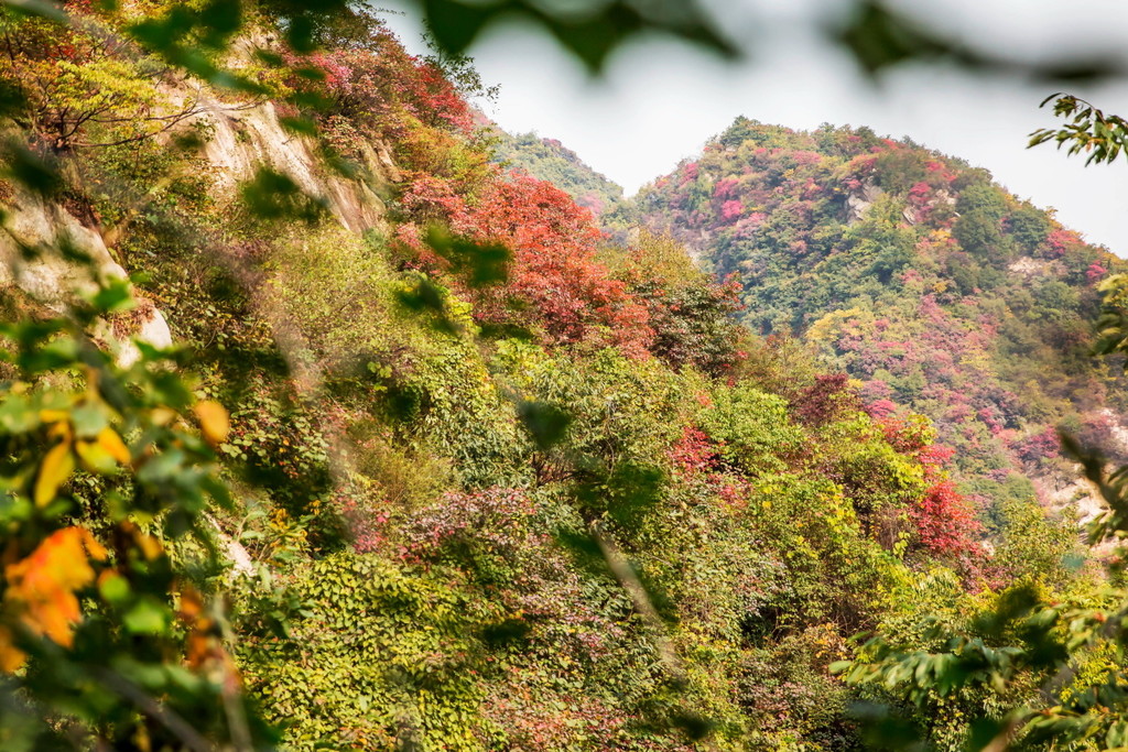 “必一·体育”《死亡之屋》街机版即将开启公测 恐怖经典再度来袭(图2)