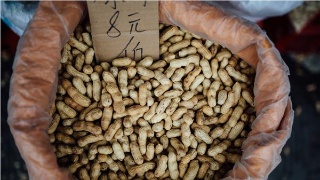 快讯：日本小笠原群岛海域发生8.5级地震_bsports必一运动