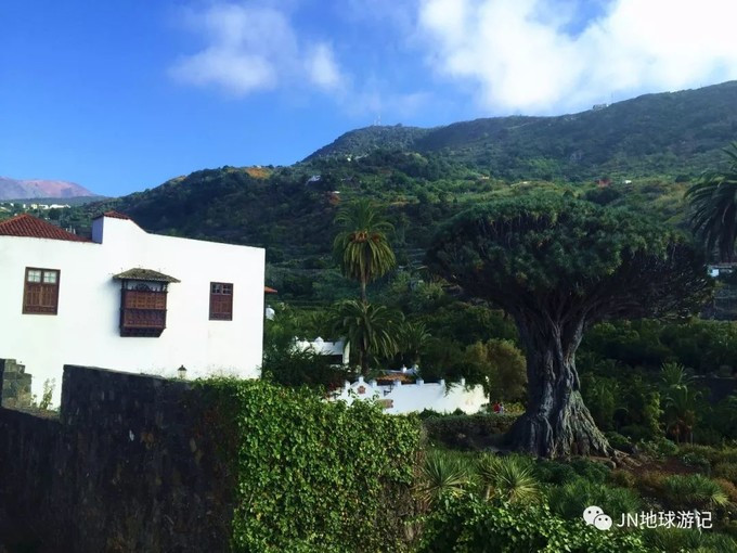 “营改增”后中小型物流生存艰难-必一运动(图4)