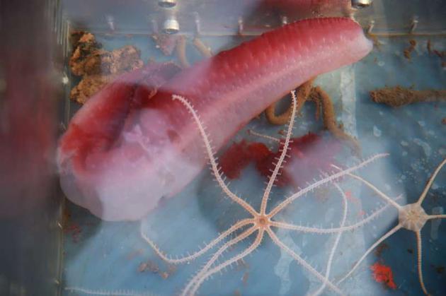 《守望先锋》黑影今日正式降临国服 开放新赛季新地图【B-Sports】