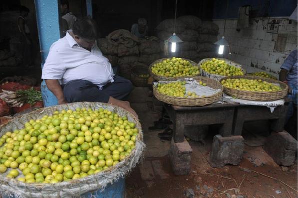 【必一·体育】澳大利亚为前总理弗雷泽举行国葬 总理等600多官员出席(图3) 【必一·体育】澳大利亚为前总理弗雷泽举行国葬 总理等600多官员出席(图3)
